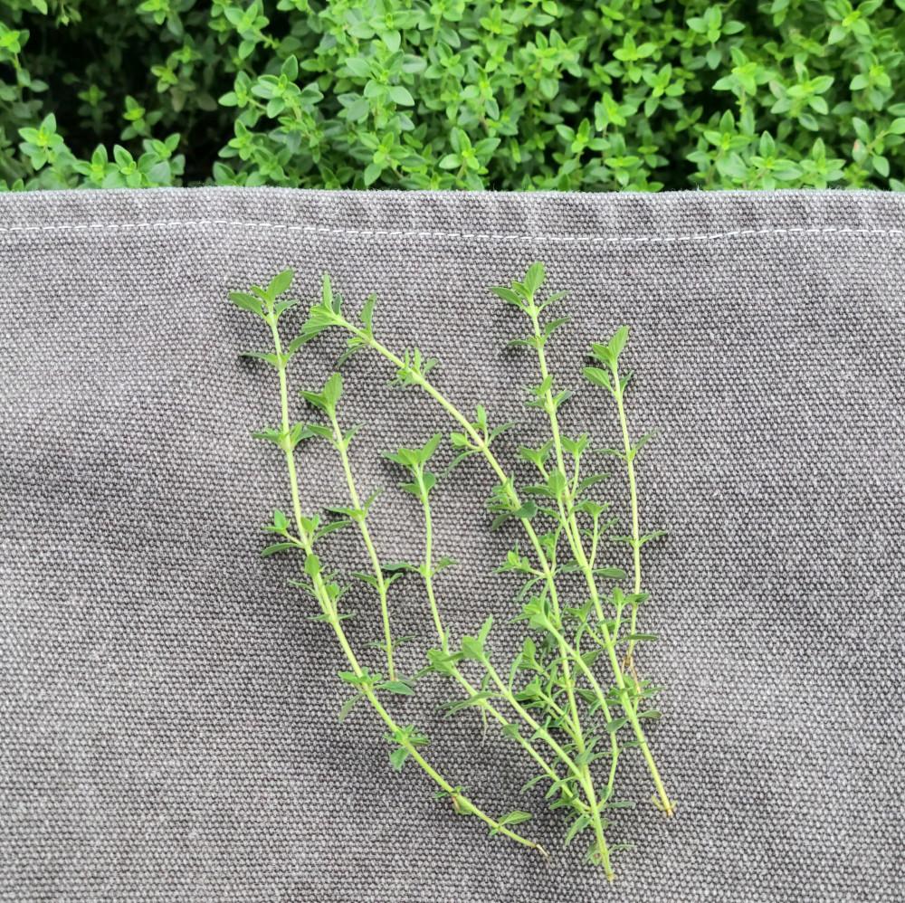 [친환경] 유기농 레몬타임 생잎 타임 허브 50g