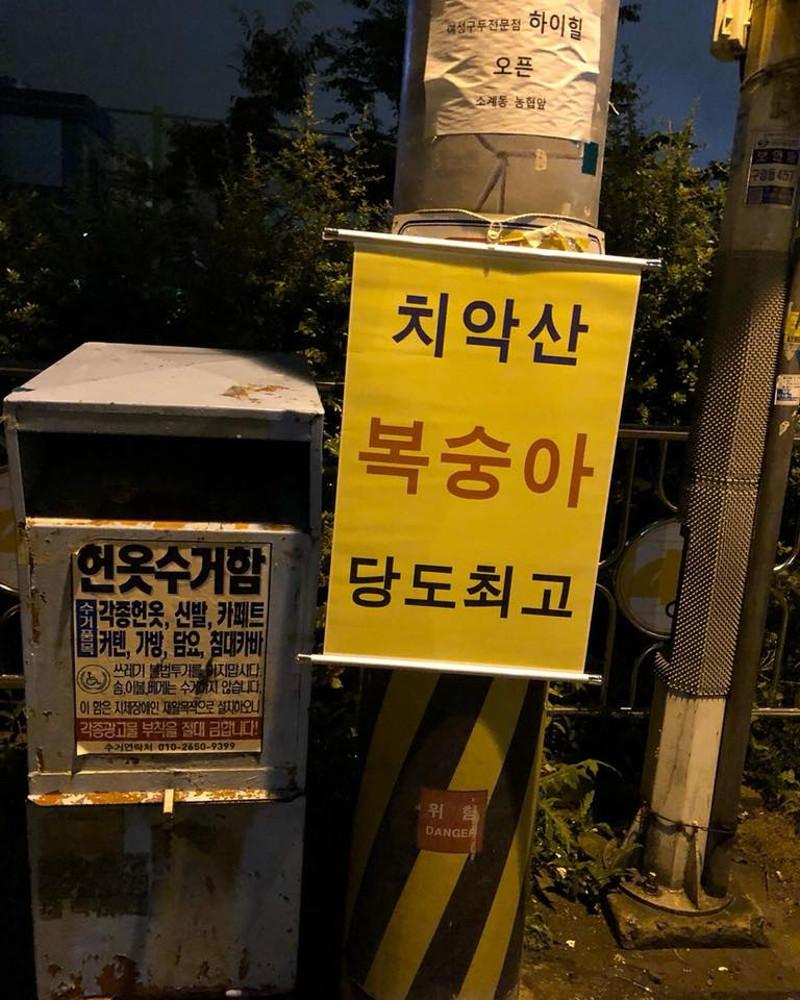 쓸데없는선물, 웃긴선물, 치악산복숭아당도최고(고급천재질, 족자형태)
