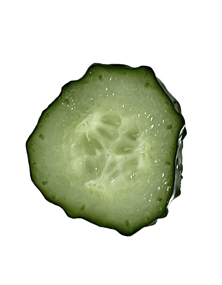 slice cucumber epoxy griptok