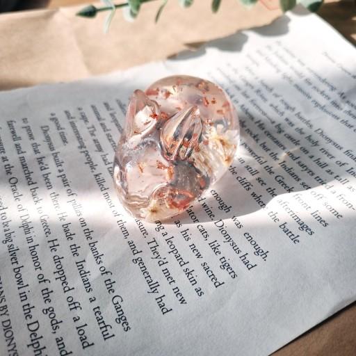 🐰마이 버니 감성 문진🐰