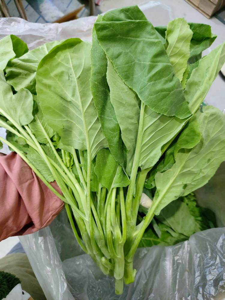 카이란 1KG 카나 채심