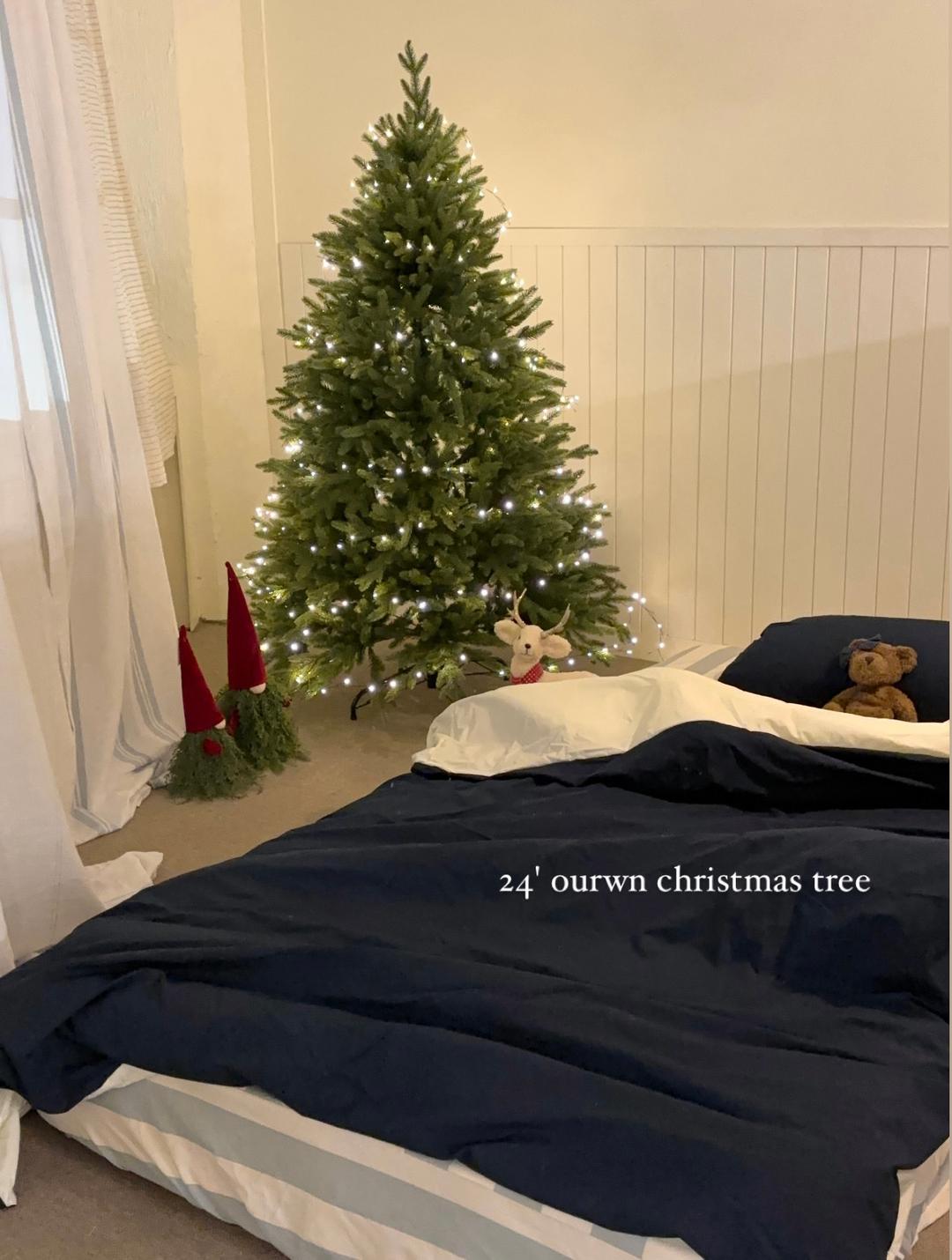 24' ourwn christmas tree