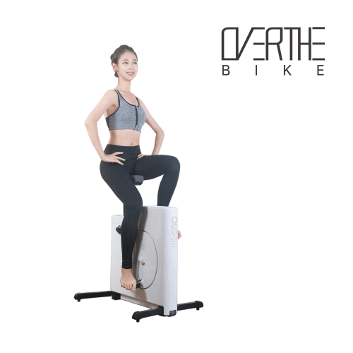 미니 실내 자전거 가정용 사이클 헬스 좌식 싸이클 홈트 접이식 가정용 오버더 바이크
