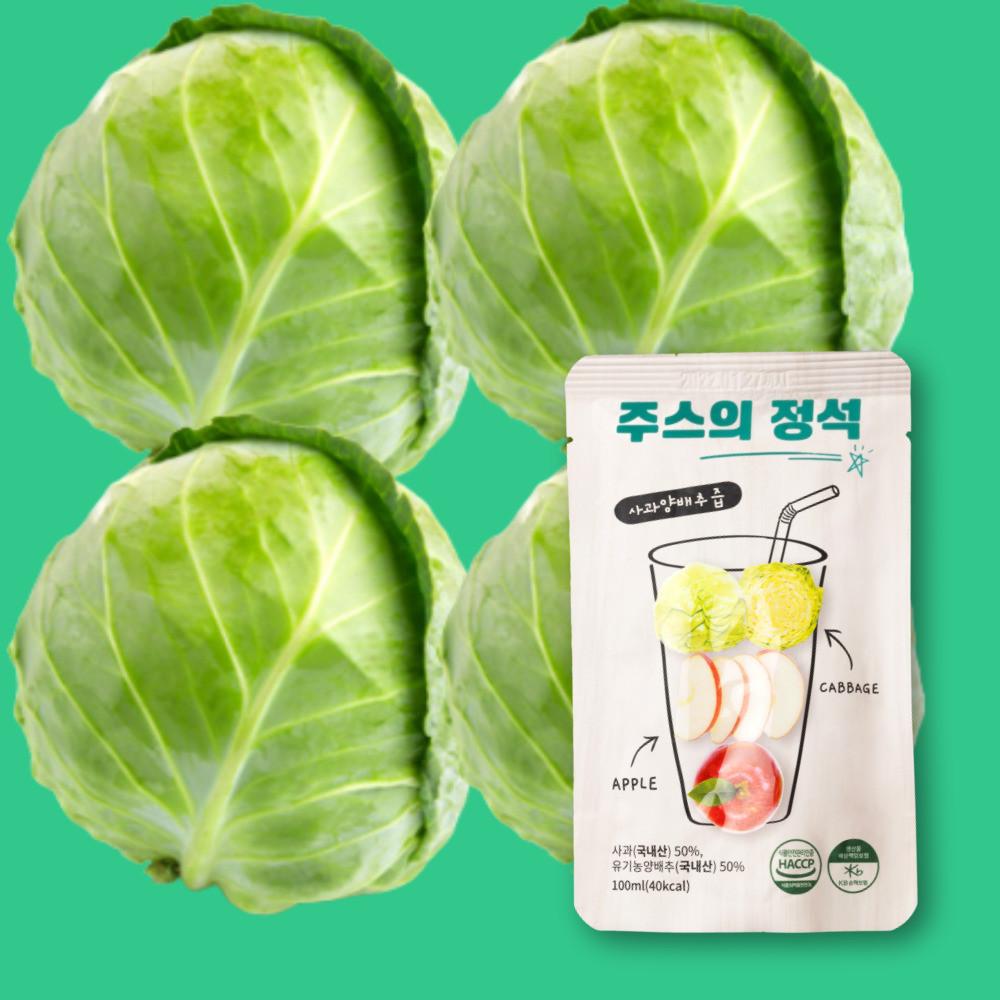 주스의정석 제주 유기농양배추 사과즙 100%착즙 NFC 2박스(100ml x 60팩)