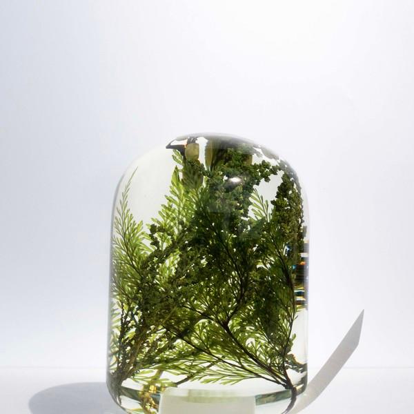 Style Jieum) Pieces Of Time 워터플랜트