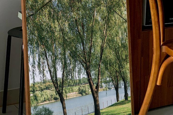 나무 풍경 숲 포스터 자연사진 빈티지 인테리어포스터 버드나무 세로