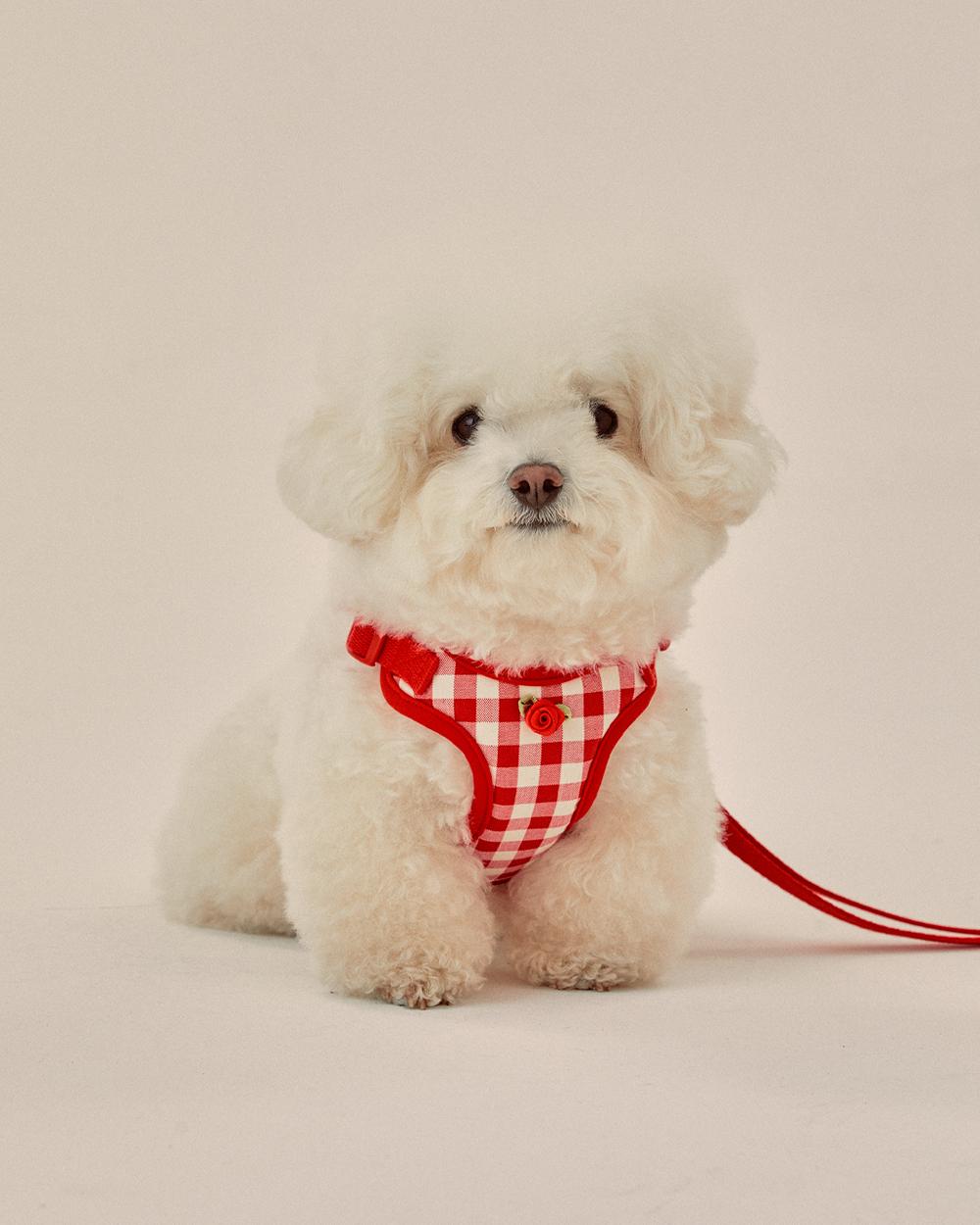 Rosy check cushioning X harness (Red)