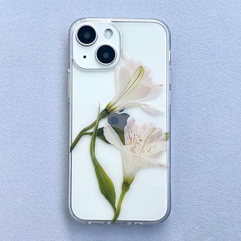 압:화 잉카릴리