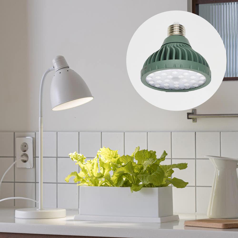 파미 식물등 생장 성장 램프 전구 조명 식물 LED