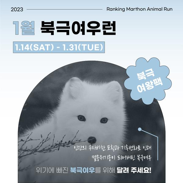 2023 랭킹마라톤 애니멀런 1월 북극여우런 - 북극여왕팩