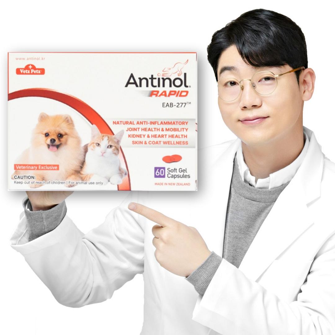 안티놀 래피드 60정, 뼈/관절강화, 19.2g, 1개 - 칼슘/관절영양제 | 쿠팡