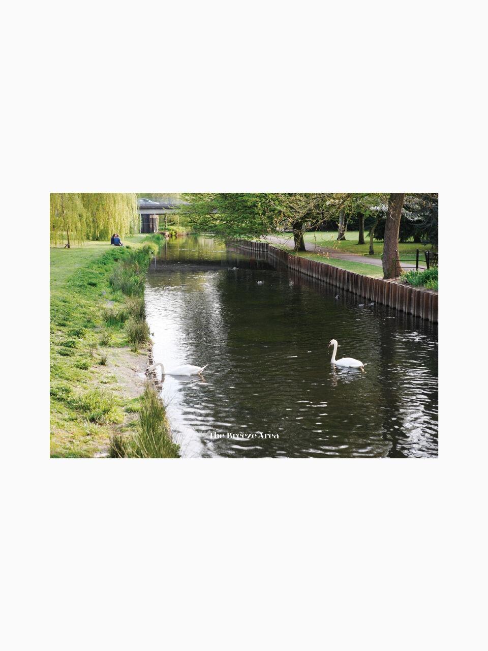 TBA 포스트카드 nature - river  013