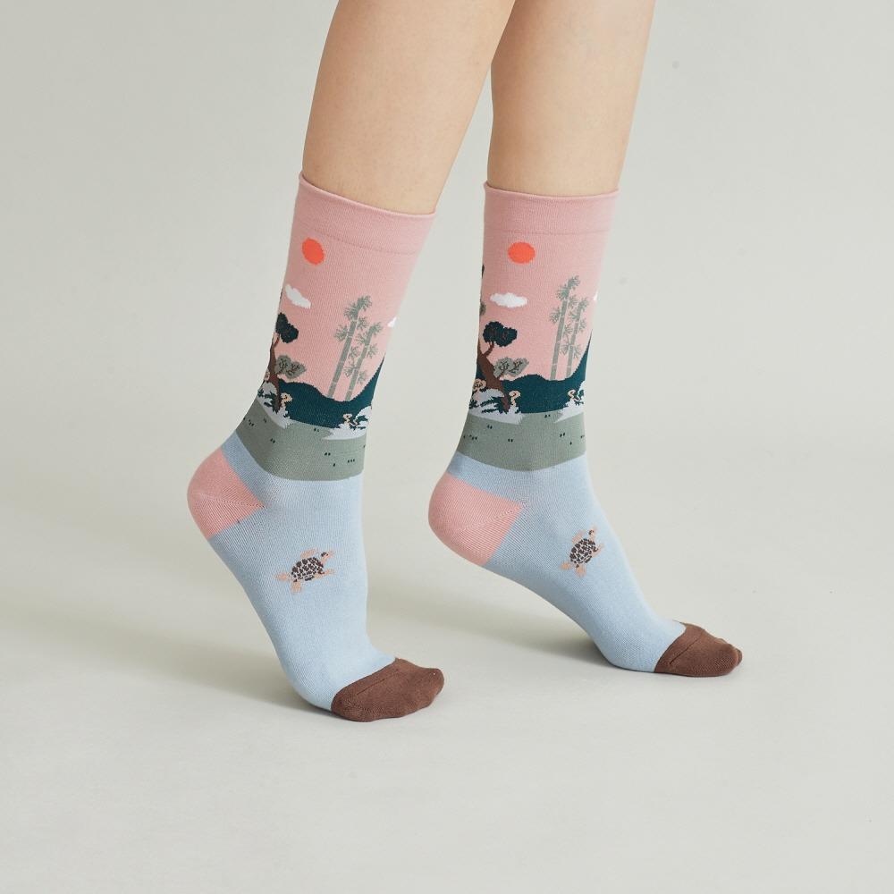 OIMU003 Fortune Socks : 십장생도