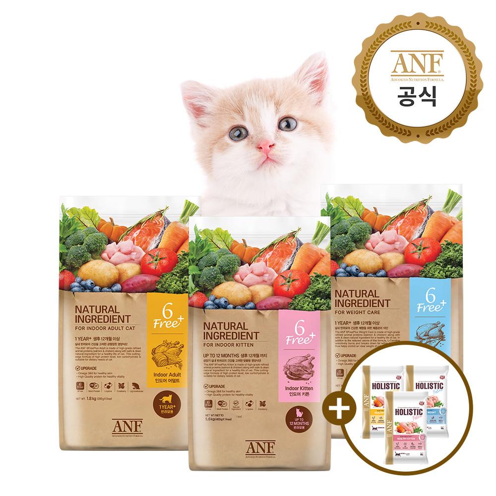 ANF 캣 식스프리 플러스 고양이 사료 베스트 모음 어덜트 웨이트케어 키튼