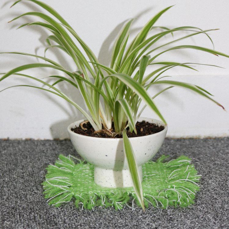 bright willow coaster (L)