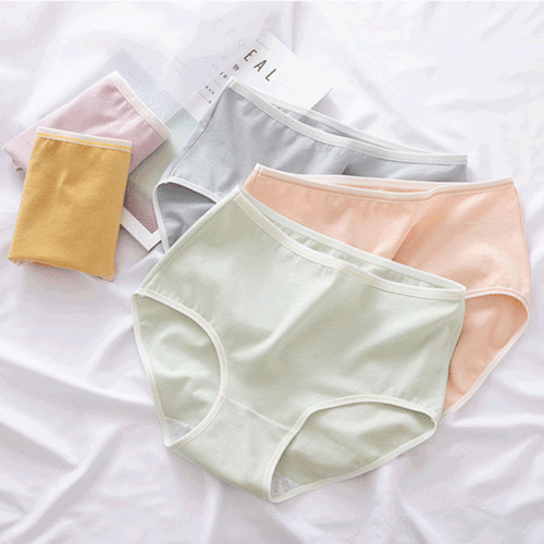 데일리 심플 배색 팬티 5P 세트 no.1052