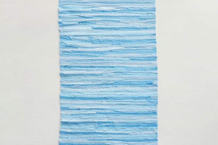 JANSSEN 스트립러그 70x145