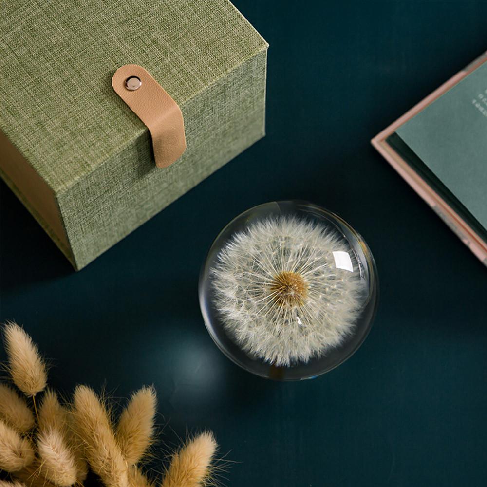 심플앤글로우 감성 인테리어 단델리온 민들레 문진 오브제, 7cm
