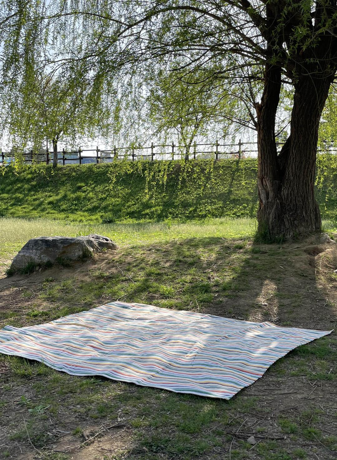 multi picnic mat / green
