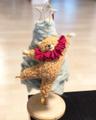 보스턴발레곰 크리스마스트리 오너먼트 애착인형 곰돌이인형 팬던트 장식