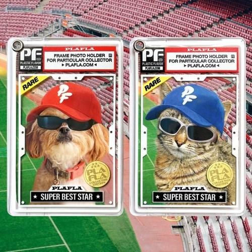 PlaFla Frame Photo Holder 16 Collector