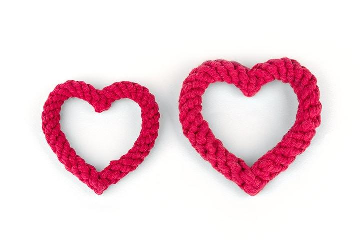 강아지터그놀이 강아지 이갈이 애견 장난감 공 하트 터그 로프 2size