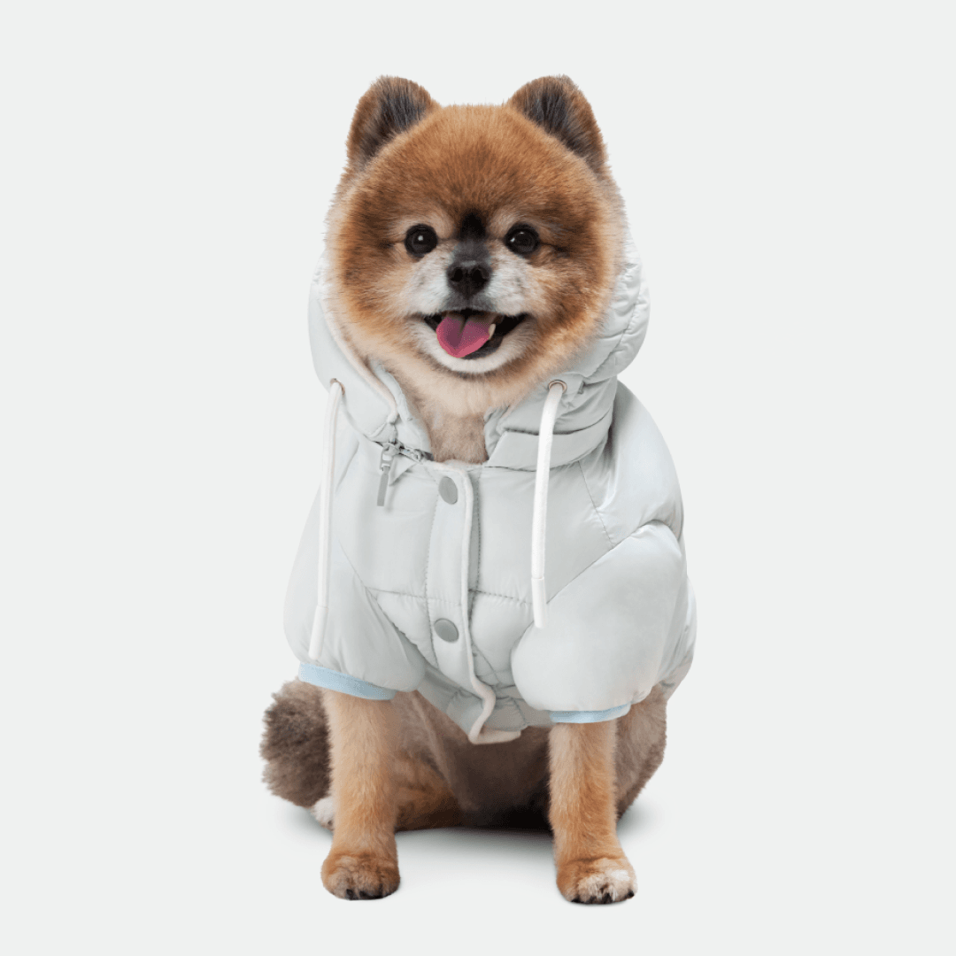 3차 재입고❄ 네오핏 소프트 구름 패딩 (3 Color)