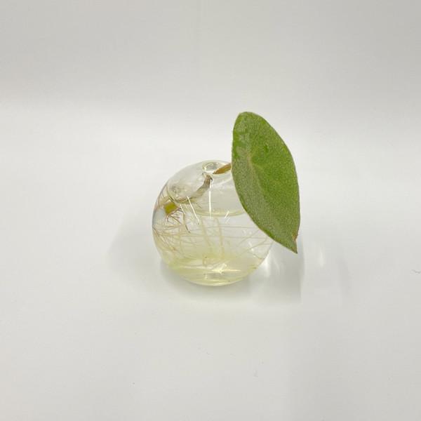 페어리 미니 베이스 2종, 이승연 작가