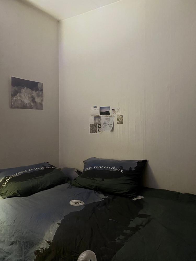 핏앤핏 봄 여름 사계절 면 40수 이불 베개 커버 세트 (3종) 싱글 퀸 킹 사이즈 새벽들판