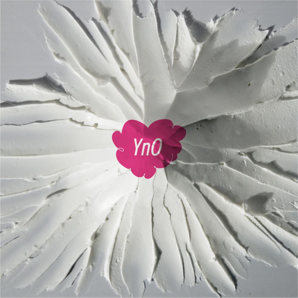 (순차발송)요그앤오트 그릭요거트 24 500g