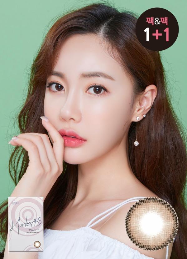 홀로리스 아시안핏 무스쵸코