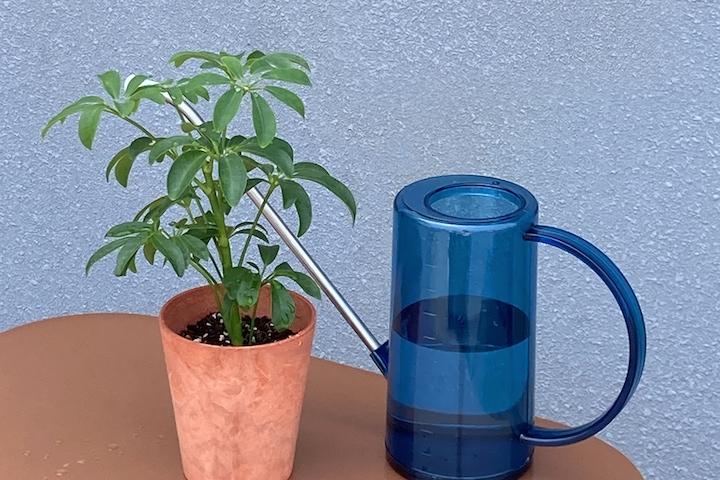 투명 물조리개 물뿌리개 1000ml