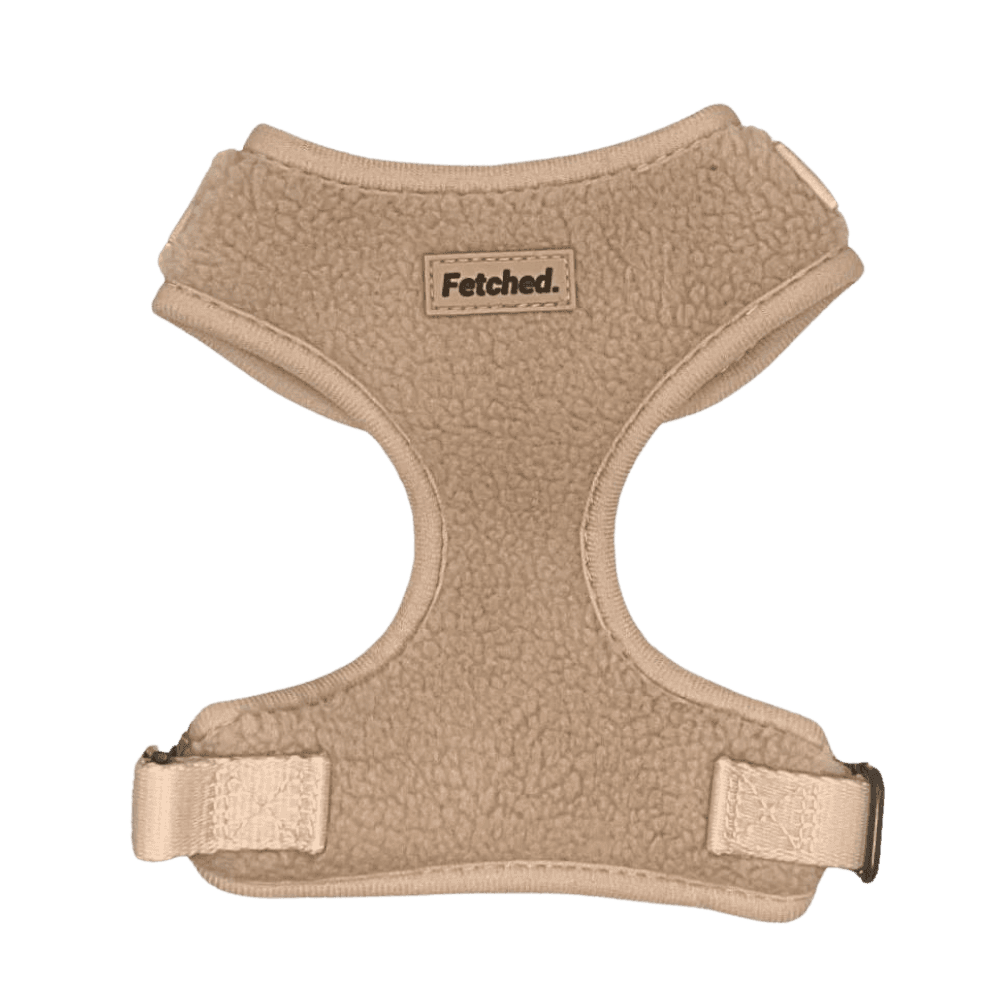 Teddy Dog Harness