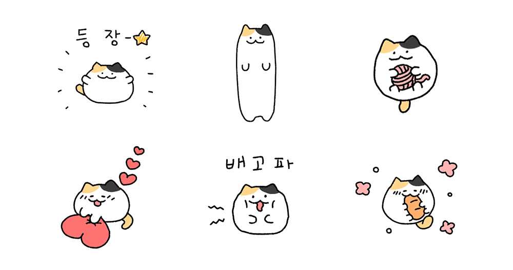 찌그러진 바보 삼색고양이