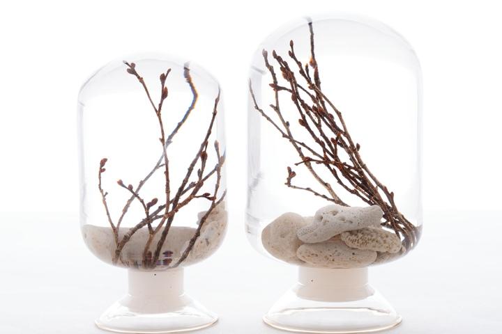 피스오브타임 pieces of time - 산호느티