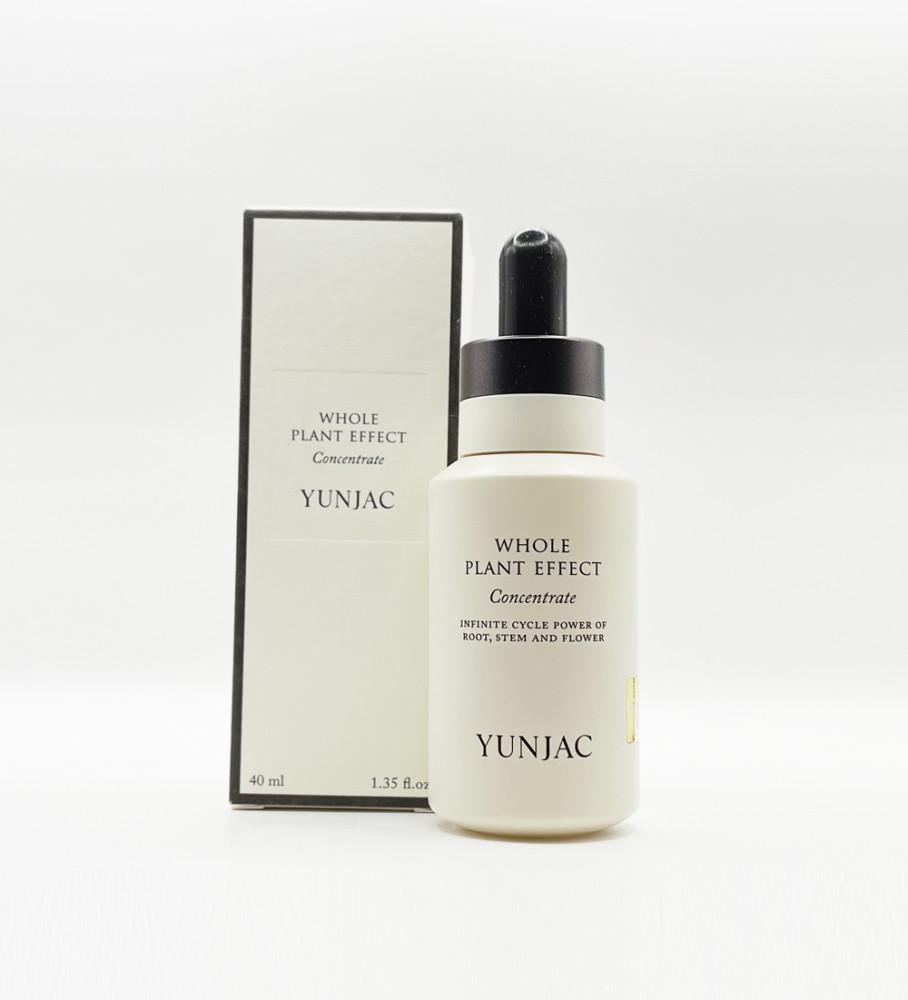 연작 전초 컨센트레이트 40ml