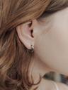 [셀럽  착용] molly earring