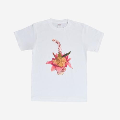 김씨네과일 과일&꽃 꽃송이버섯