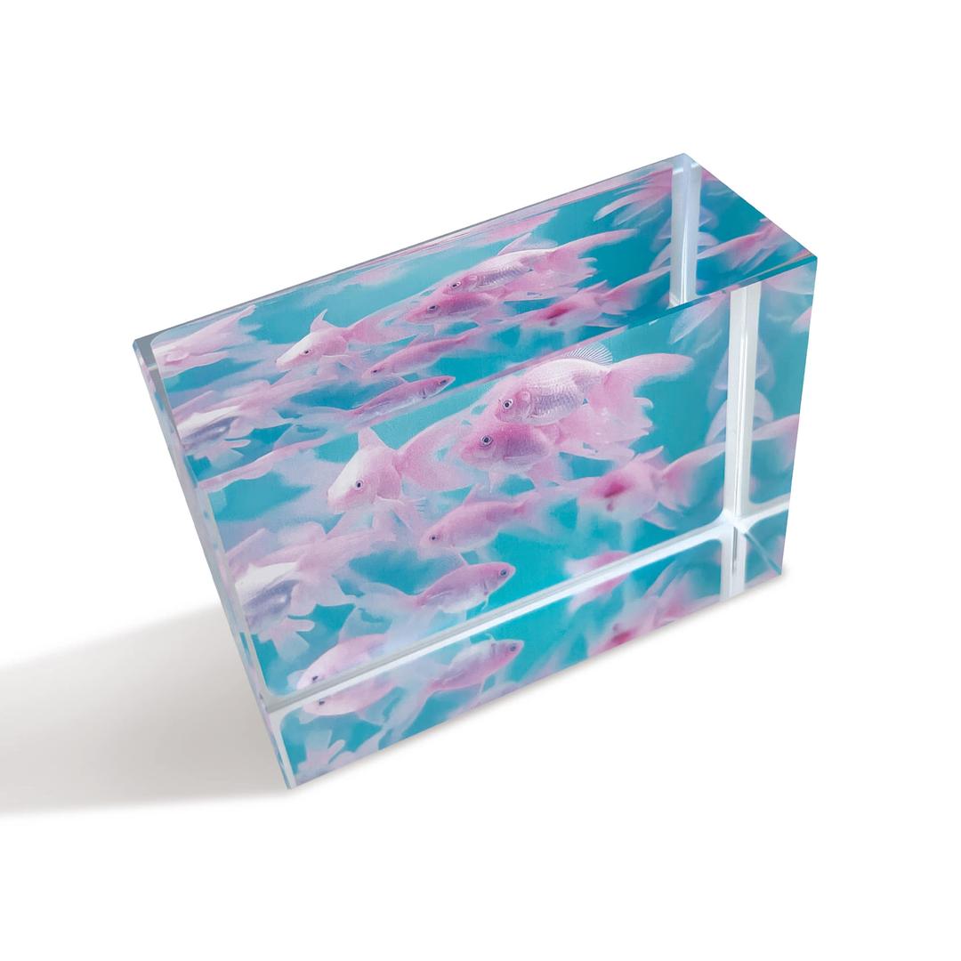 심해 문진 1차 (7.11 금요일 발송 예정)