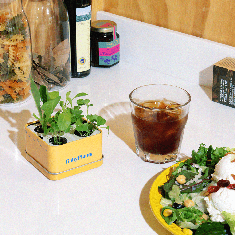 [RENEWAL] BabyPlants - Fresh Lunch 식물재배키트