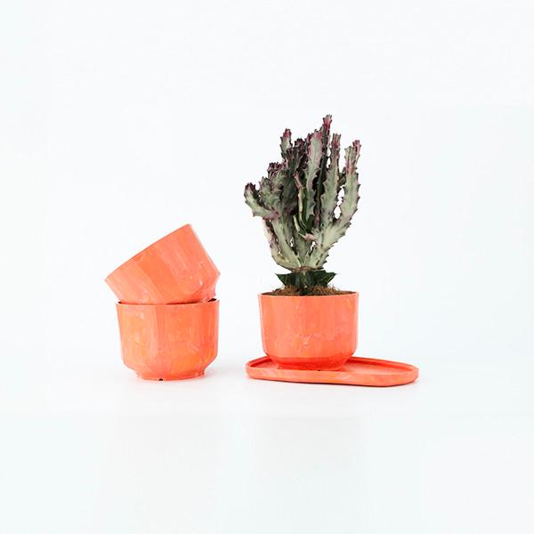 Palette Sunset - 팔레트 업사이클링 화분 & 트레이 세트(선셋 컬러)