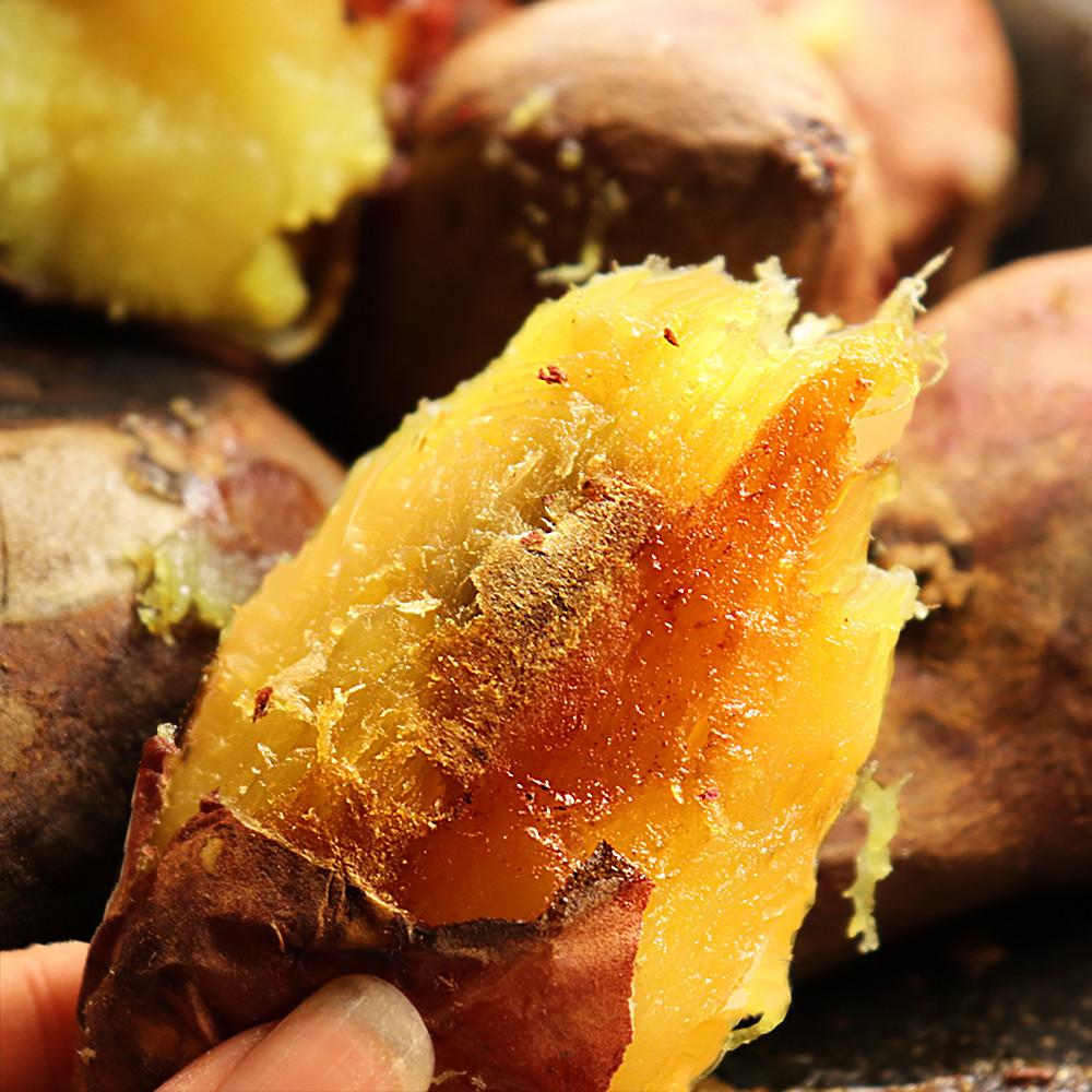 해남 인생 고구마 호박꿀고구마 베니하루카 밤 자색 3kg 5kg 10kg