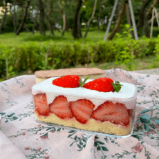 [당일발송] 튼튼한 플라스틱 보틀케이크용기 직사각형 소형 중형