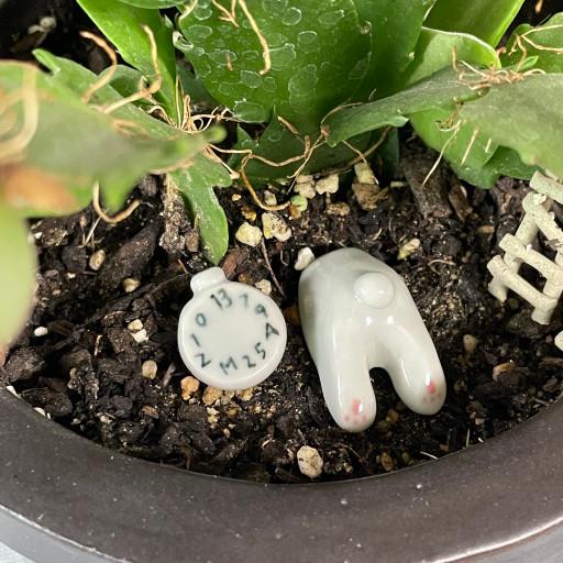 ⏱️이상한나라의 토끼🐇