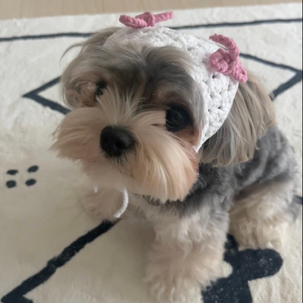 강아지악세사리 헤어커치프 화이트 S
