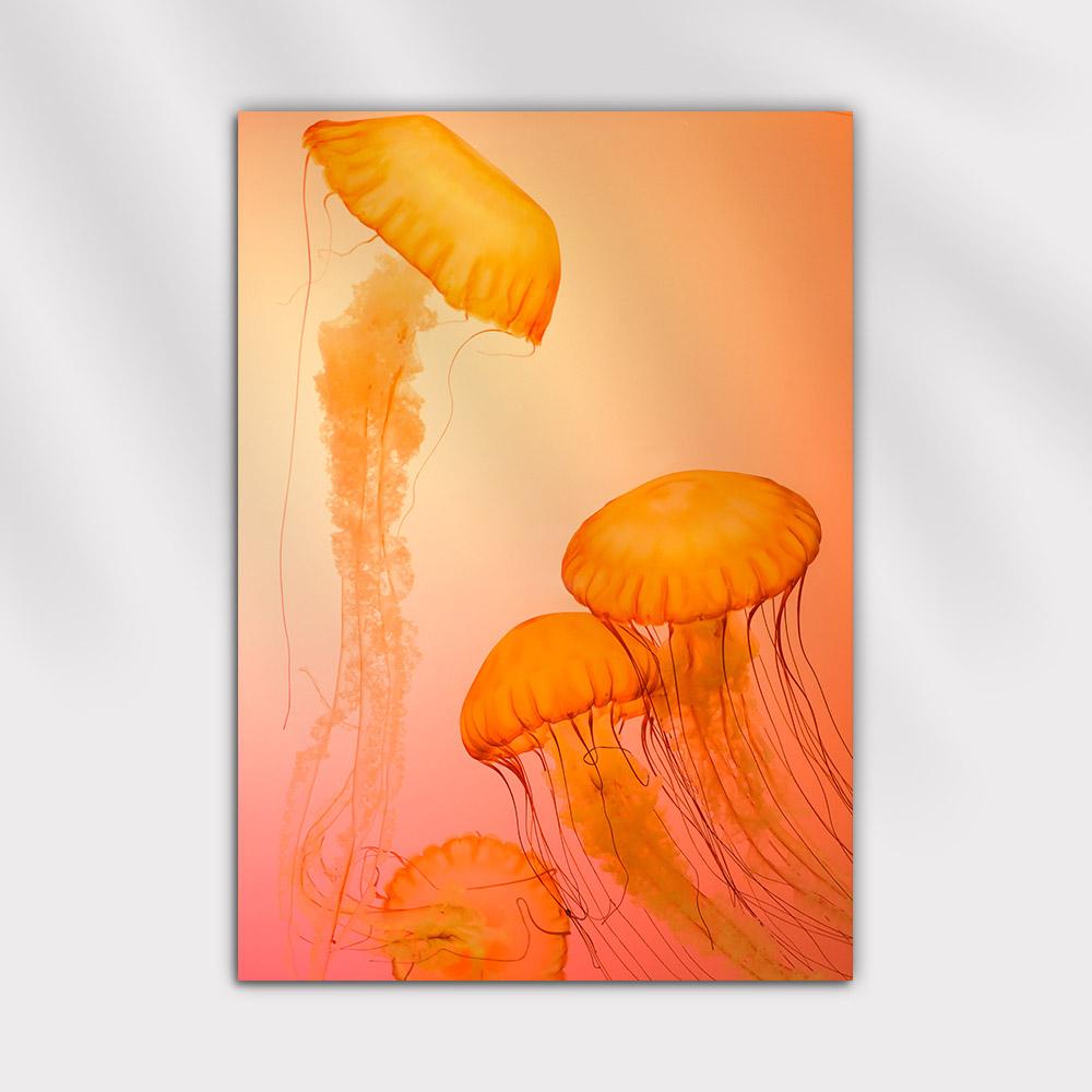 공간에 영감을 주는 인테리어 포스터, 춤추는 바다 해파리 8종 / A2