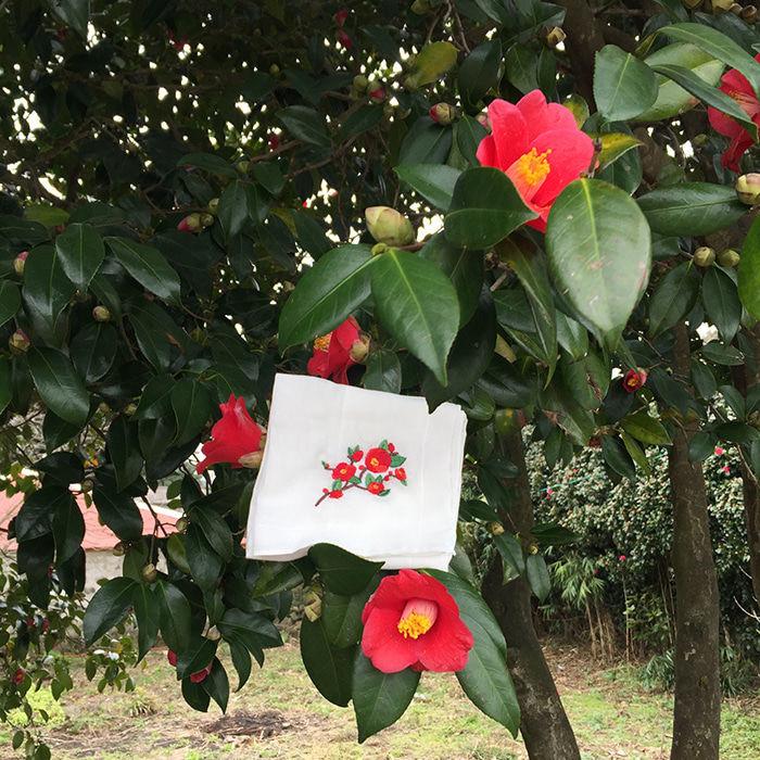 [Organic cotton Handkerchief] Camellia
