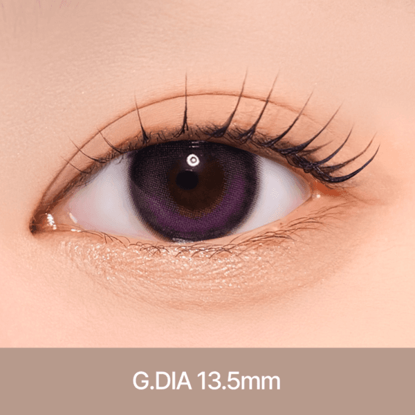 노이 [ 바이올렛 ] 1개월용