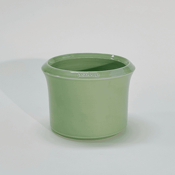 10, Signature, Green tea, 115(w)*90(h)