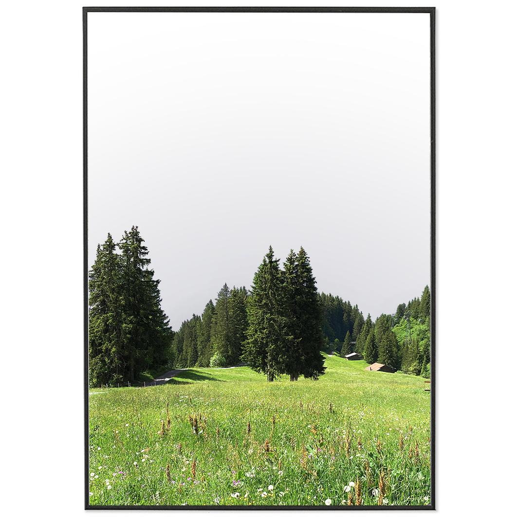 [poster mirror]  Switzerland